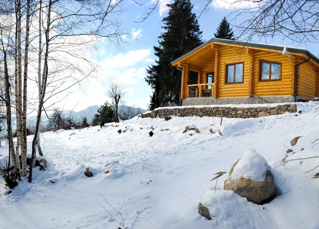 Вила Брезите Pamporowo Exterior foto